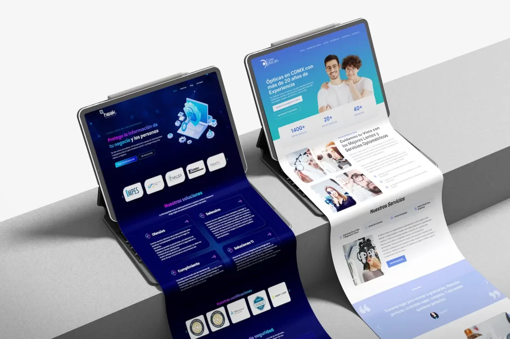 diseñador web mexico